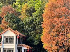 -深圳仙湖植物园