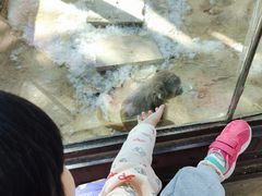 -石家庄市动物园