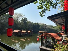 -侨美·唐荔园·40年地道粤菜