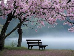 -呈贡滇池生态湿地公园