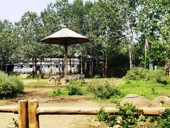 -大连森林动物园