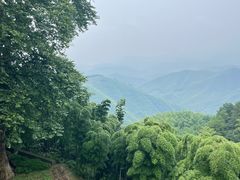 -莫干山风景区