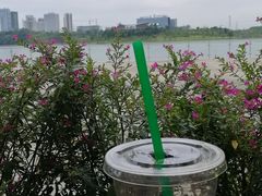 -星巴克(成都科学城店)