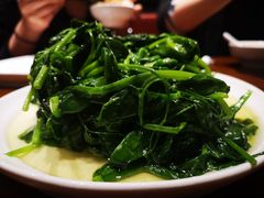 清炒豌豆尖-眉州东坡·熊猫主题餐厅(枫蓝店)
