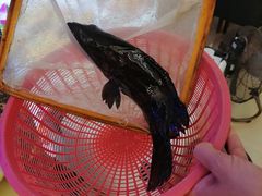 -鑫鸿达·海鲜闽菜热炒小馆(中山路店)