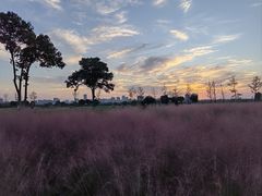 -汉长安城未央宫国家考古遗址公园