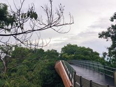 -福道
