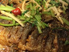 -老板恋上鱼(恒隆广场店)