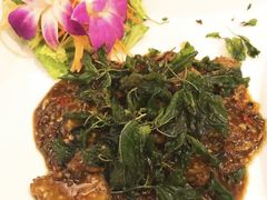 九层塔炒牛肉-Daddy Nimman Chiang Mai