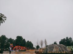 -眉山湿地公园(东坡区)