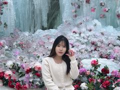 -洛阳白云山景区