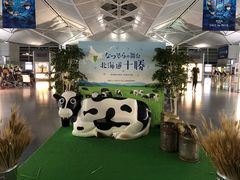 -中部国际机场
