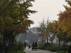 -石家庄市植物园