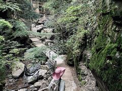 -藏龙百瀑风景区