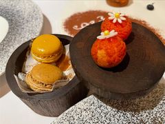 -蝶舍·MAISON PAPILLON