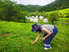 -大水川景区