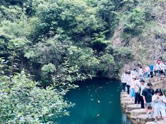 -大奇山国家森林公园