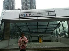 -大龙山(地铁站)