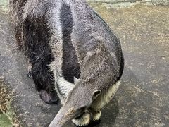 -常州淹城野生动物世界