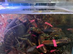 -丰卓会海鲜自助(中润大道店)