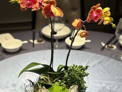 -狮王府淮扬菜(万象城店)