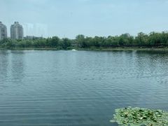 -箸福·夜上海(月牙湖公园店)