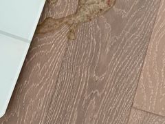 -萌兽医馆·宠物医院·猫骨科(创景店)