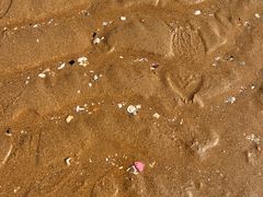 -奥冠体育华师附中恒温游泳馆