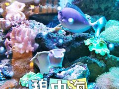 -碧中海汤泉汗蒸酒店