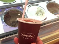 -哈根达斯(皇城恒隆广场店)