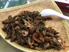 -一品美食城(石碣序伦小学店)