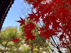 -北京明城墙遗址公园