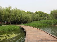 -宝界山林公园