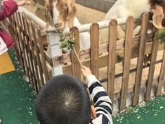 -广州长隆国际大马戏