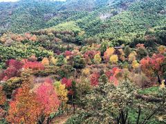 -塔川景区