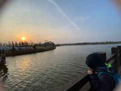 -盐城丹顶鹤湿地生态旅游区