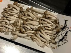 -蜀留香火锅·始于1999·原四川老火锅(白堤路店)