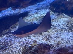 -海合安武汉极地海洋公园