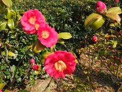 -苏州河梦清园环保主题公园