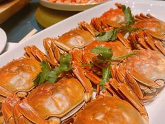 -钟菜·粤菜点心·宴请(海上世界·汇港二期店)