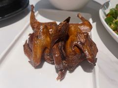 -琬苑鸽庄·川粤融合菜(解放碑总店)