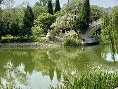 -渭滨公园