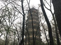 -灵谷景区