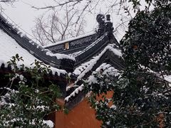 -灵谷景区