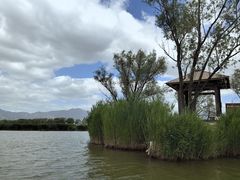 -野鸭湖国家湿地公园