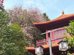 -南沙天后宫景区