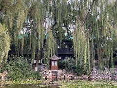 -文瀛公园