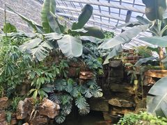 -济南植物园