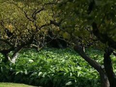-上海大自然野生昆虫馆(东方明珠·爬宠昆虫探索中心)