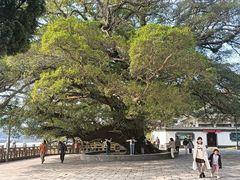 -江心屿景区